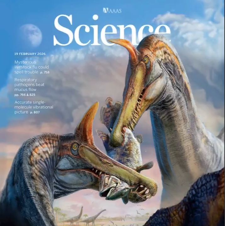 Spinosaurus Mirabilis