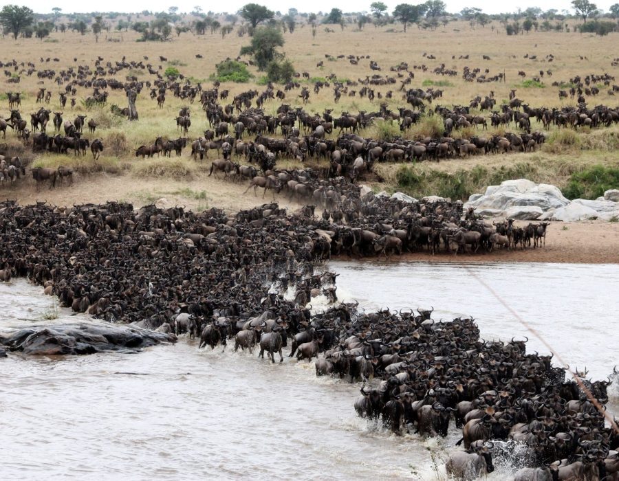 tanzania