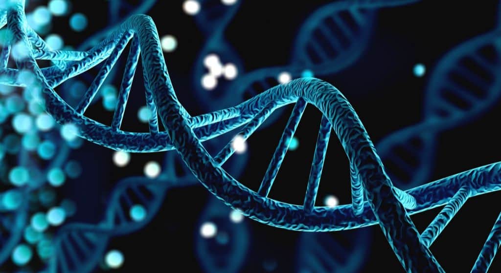 DNA