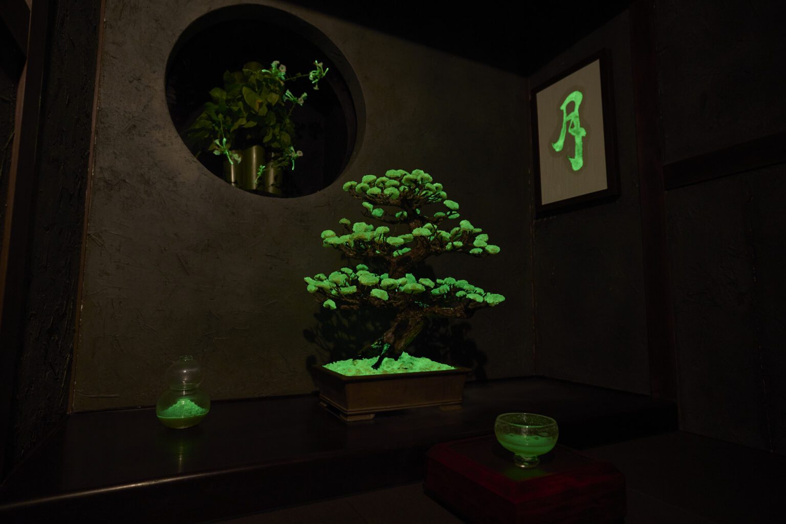 Glowing Plants