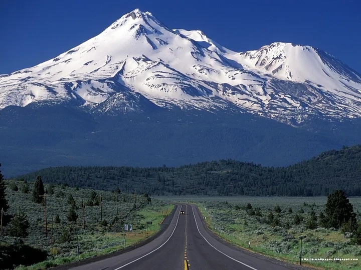 Shasta
