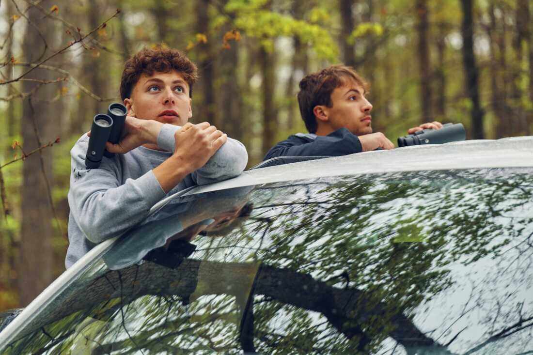 Birding