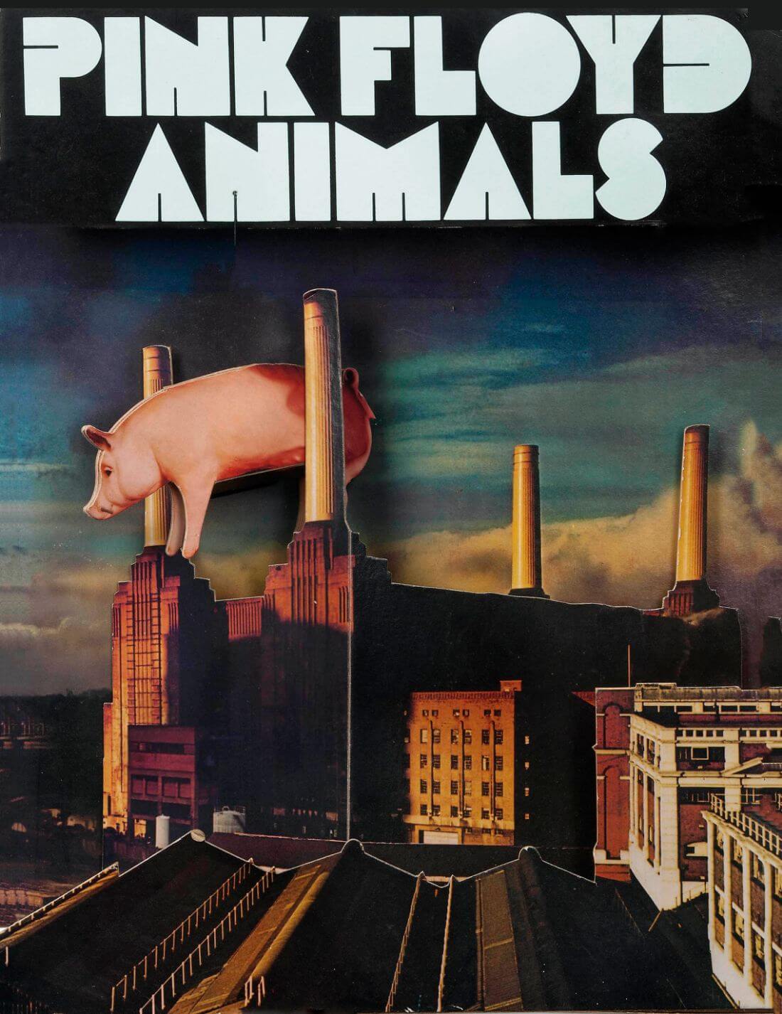 Animals